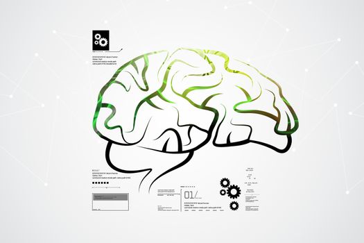 Human brain structure