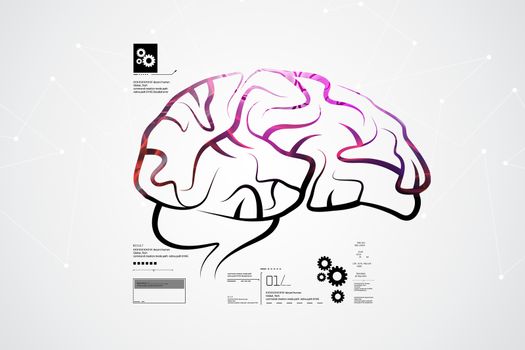 Human brain structure