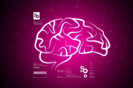 Human brain structure