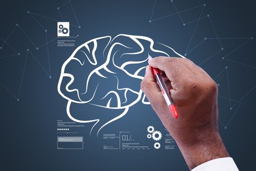 Man drawing human brain