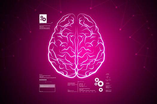 Human brain structure