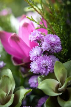 The background image of the colorful flowers, background nature