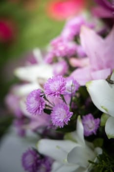 The background image of the colorful flowers, background nature