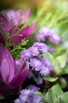 The background image of the colorful flowers, background nature