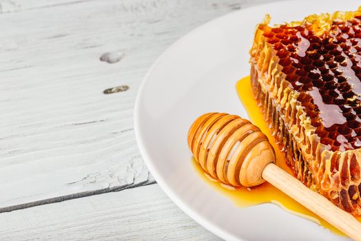 Delicious honeycomb on white plate with wooden honey dipper