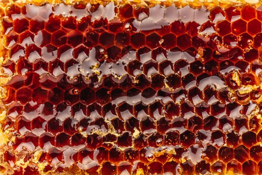 Background of sweet golden honeycomb. View from above