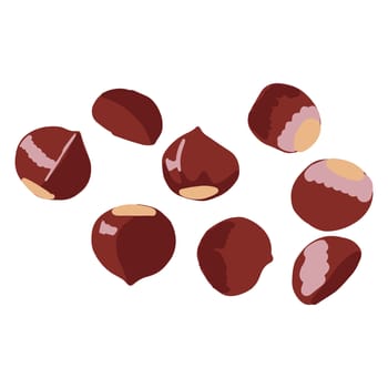 Chestnut isolated on white background. Flat Cartoon style. Vector illustration.