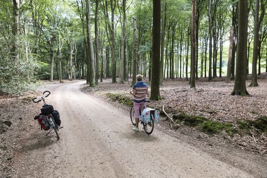 Woman on a bike resting in the forest after a bike trip in holland, the national park de hooge veluwe with trees and trackings
