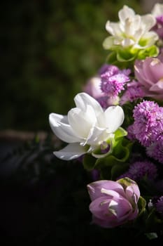 The background image of the colorful flowers, background nature