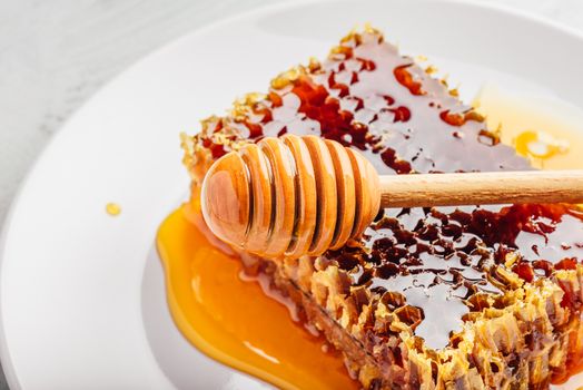 Delicious honeycomb on white plate with wooden honey dipper