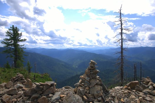 Lonely pine tree on top of a hill overlooking a mountain range. Altai, Siberia, Russia.