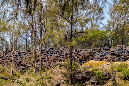 Discharge of old tires in nature near the city of Mombasa in southern Kenya