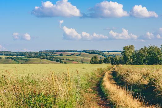 Dirt Road in Green Field on a Sunny Day. Hills on Background.