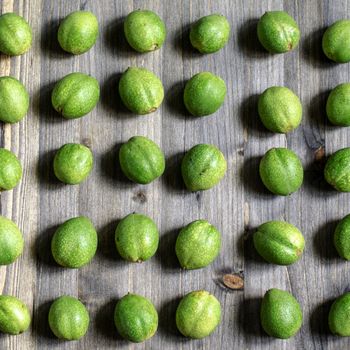 Young green fruits of walnuts lie in rows on a gray wooden background