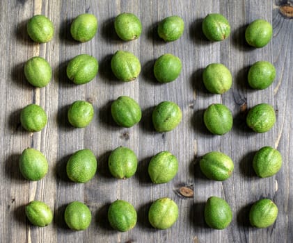 Young green fruits of walnuts lie in rows on a gray wooden background