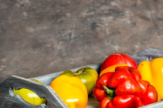 Imperfect natural peppers and tomatoes on an old wooden tray on a dark background. Healthy eating concept. Copy Space.