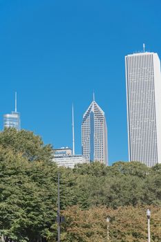 Lookup view of Chicago downtown from the park. Skyline buildings and trees background
