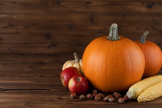 Autumn harvest still life with pumpkins, apples, hazelnut, corn on wooden background