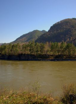 The calm flow of the river flowing at the foot of high hills in the evening. Altai, Siberia, Russia.