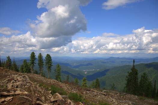 View of mountain ranges through pine trees under low clouds. Altai, Siberia, Russia.