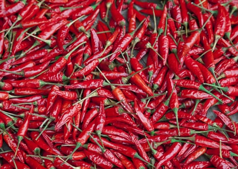 Many red chili peppers filling the frame