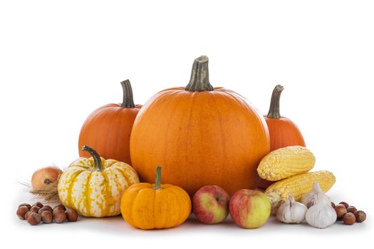 Autumn harvest still life with pumpkins, wheat ears, hazelnuts, garlic, onion, corn and apples on wooden background