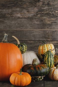 Many orange pumpkins on dark wooden background , Halloween or Thanksgiving day concept