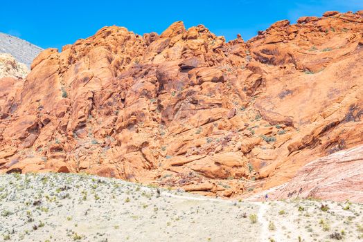 Red Rock Canyon National Conservation Area in Las Vegas Nevada USA