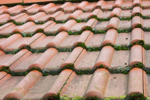 Tile roof covered with red tiles, overgrown with moss       Ziegeldach eingedeckt mit roten Dachziegel,mit Moos bewachsen