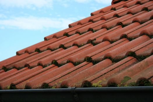 Tile roof covered with red tiles, overgrown with moss  Ziegeldach eingedeckt mit roten Dachziegel,mit Moos bewachsen