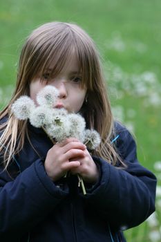 A blond girl with dandelions