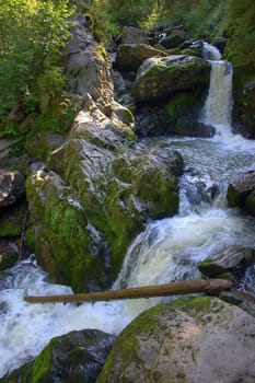 The mountain river forms a small waterfall around the stones. Tenevek River, Third River, Altai, Siberia, Russia.