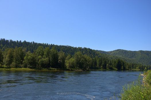 A calm wide river flowing through a valley and forest. Altai, Siberia, Russia.