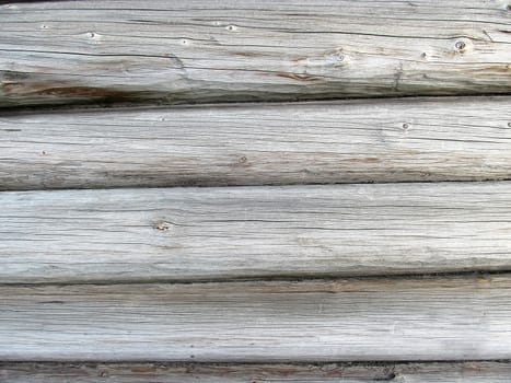 The wall of pine logs with a pronounced structure of light color.