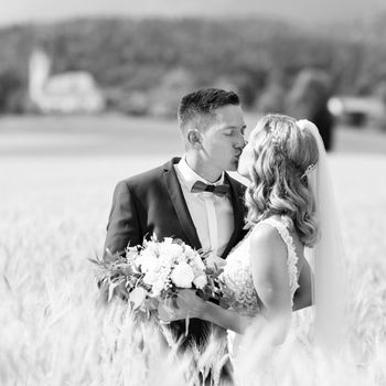 Bride and groom kissing and hugging tenderly in wheat field somewhere in countryside in Slovenian . Caucasian happy romantic young couple celebrating their marriage. Black and white photo.