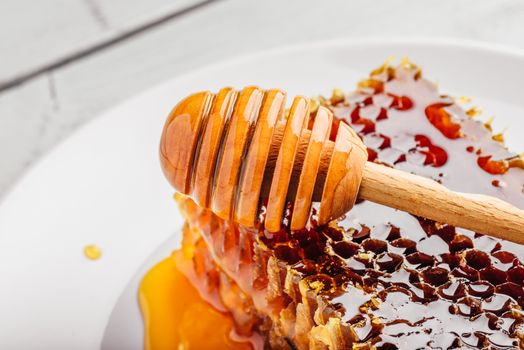 Delicious honeycomb on white plate with wooden honey dipper