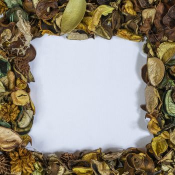 some dried flowers on a white surface