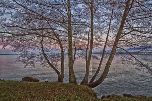 very beautiful landscape pink on the lake leman since the beach Excenevex in France