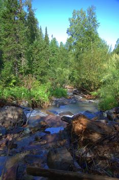 The stony banks of a mountainous river blocked by dumped trees. Altai, Siberia, Russia.