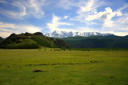 Fertile valley with pasture on the hill against the backdrop of snowy mountain peaks. Altai, Siberia, Russia.