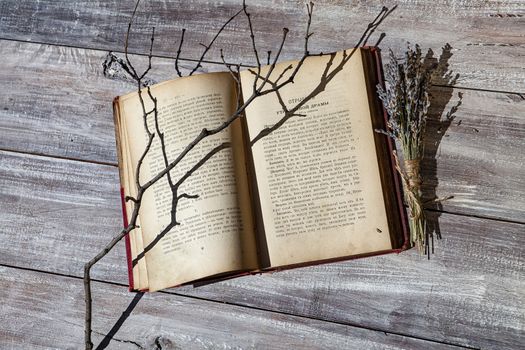 Old book and branch on an old wooden desk