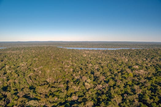 Aerial view of a stretch of the Atlantic forest on the banks of the Iguazu River.