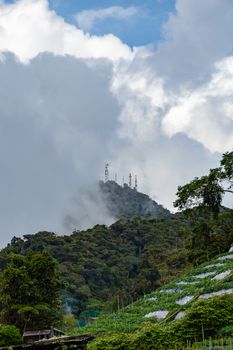 Cameron Highlands mountain top disappearing in low clouds