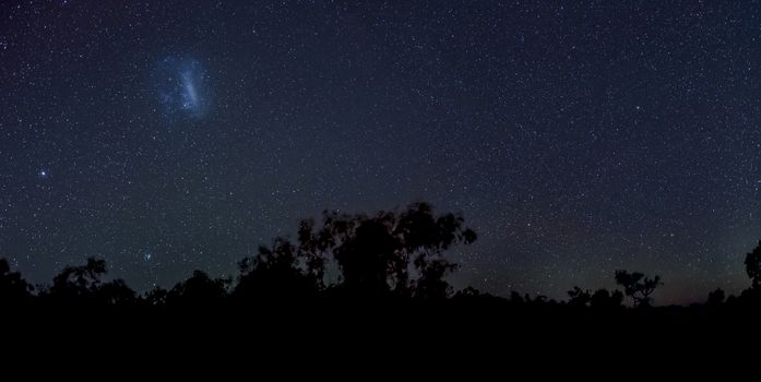 Magellanic Clouds in southern hemisphere night sky above silhouettes of trees in australian bush