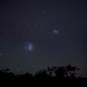 Magellanic Clouds in southern hemisphere night sky above silhouettes of outback