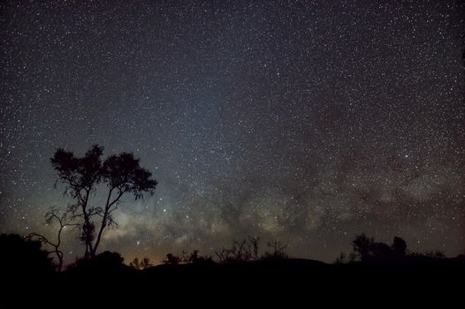 Silhouette of Australian Outback in front of milky way an zodiacal lights
