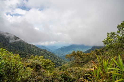 Rain forest at Cameron Highlands covering mountains and valleys