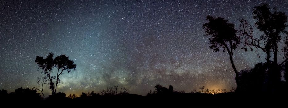 Silhouette of Australian outback panorama in front of milky way and zodiacal lights