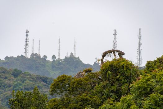 Tree tops of tropical rain forest in front of modern transmission tower
