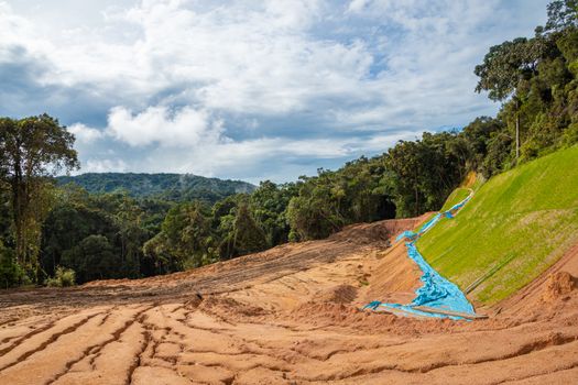 Tropical rain forest cleared woodland in Cameron Highlands